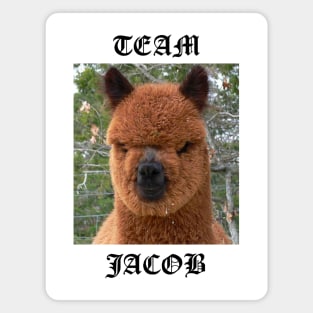 Team Jacob Magnet